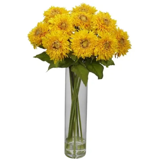 2ft. Yellow Sunflower Arrangement in Cylinder Vase {1}