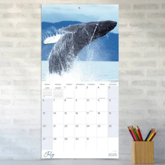 TF Publishing 2025 Wild Wall Calendar {4}