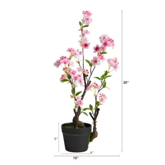 2.5ft. Potted Cherry Blossom Plant {3}