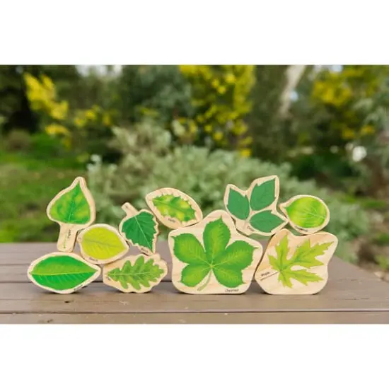 The Freckled Frog Seasons Double-Sided Leaves Play Set {4}