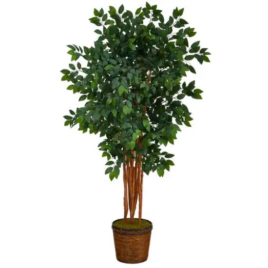 5.5ft. Sakaki Artificial Tree in Wicker Planter {1}