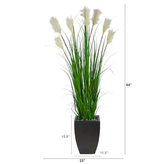 5ft. Wheat Plume Grass Plant in Black Planter {5}