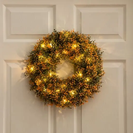 18in. Pre-Lit Autumn Boxwood Artificial Fall Wreath with 25 Warm White LED Lights {10}