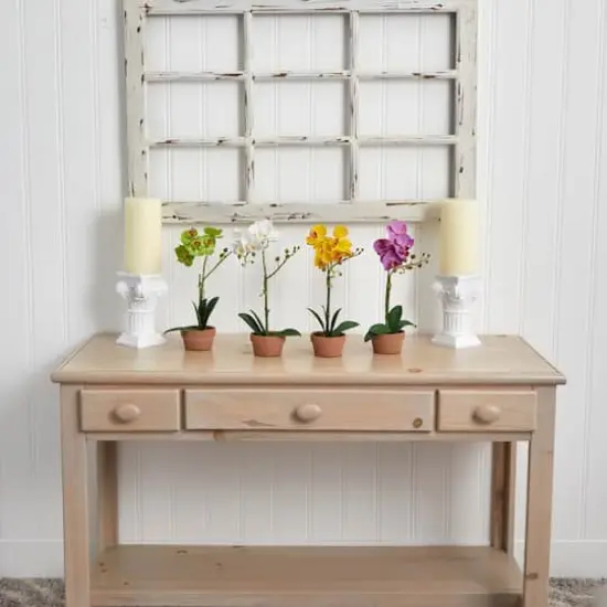 13" Orchid with Clay Vase, 4ct. {9}