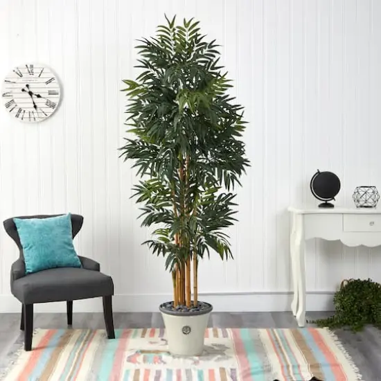 6ft. Phoenix Palm Tree in Decorative Planter {4}