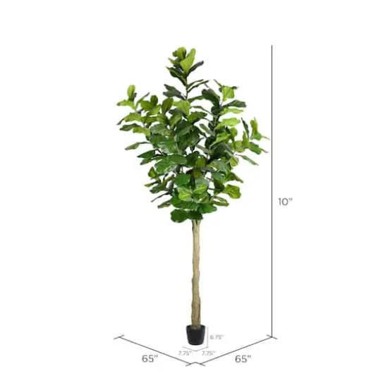 10ft. Potted Fiddle Tree {5}