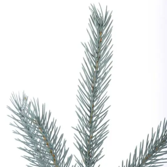 Blue Deluxe Spruce Picks Set {3}