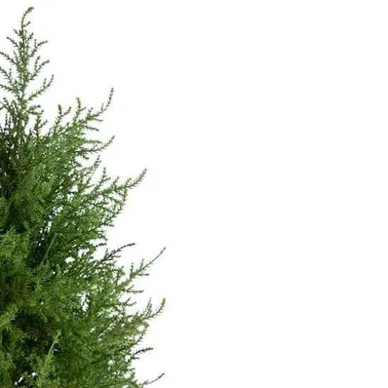 3ft. Unlit Artificial Cedar Pine Petite Arborvitae Tree in Round Pot {7}