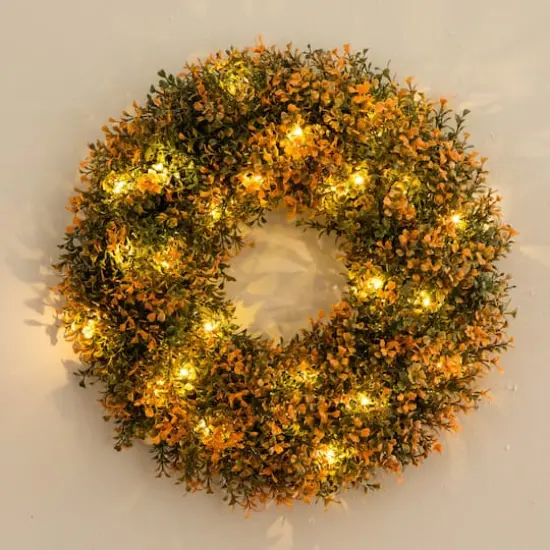 18in. Pre-Lit Autumn Boxwood Artificial Fall Wreath with 25 Warm White LED Lights {8}