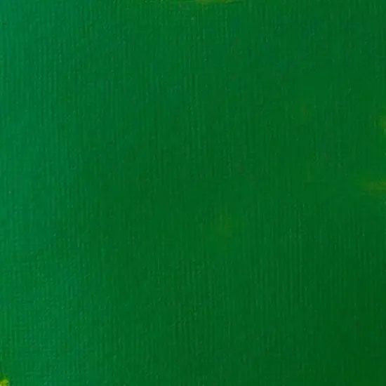 Liquitex&reg; BASICS&trade; Acrylic Paint, 13.5oz. 224 Hooker's Green Hue Permanent {3}