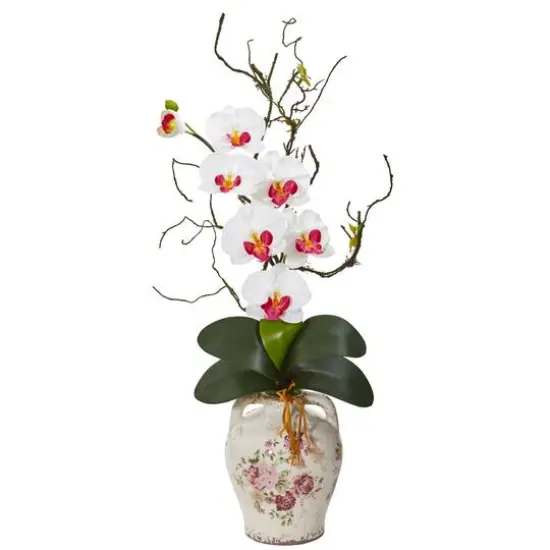 2.5ft. Moth Orchid & Twig Arrangement in Floral Jar White {1}