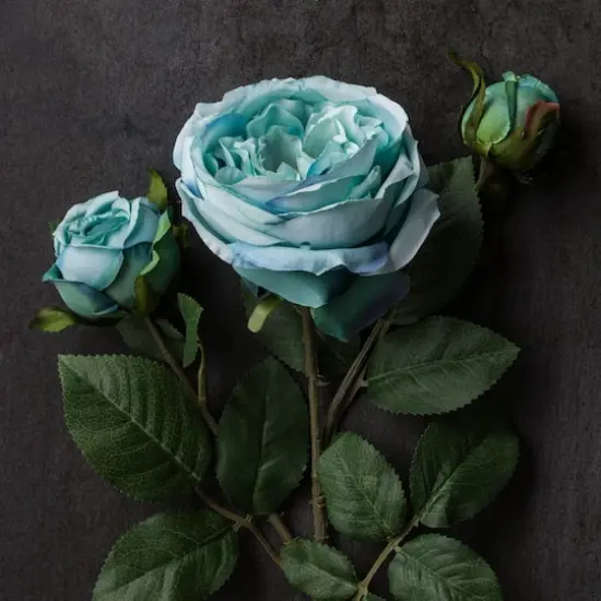 Teal English Rose Stem by Ashland&reg; {3}