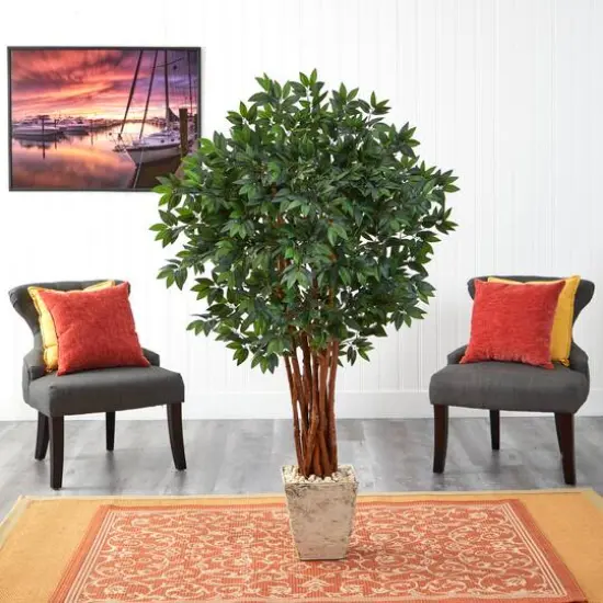 5ft. Lychee Tree in Country White Planter {4}