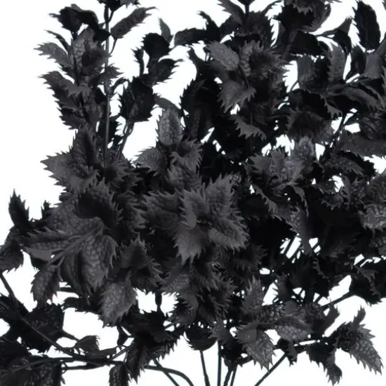 18" Black Lemon Leaf Bush by Ashland&reg; {3}