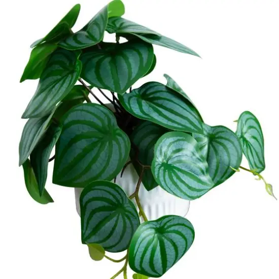 8" Mixed Greenery in Ceramic Planters Set {8}