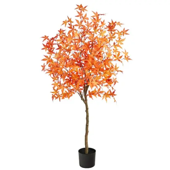 5ft. Potted Orange Autumn Maple Tree {1}