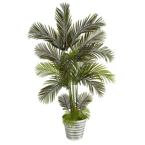 5.5ft. Areca Palm Tree in Decorative Tin Bucket {1}