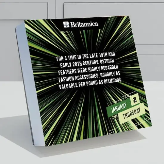 TF Publishing 2025 One Good Fact Daily Desktop Calendar {4}