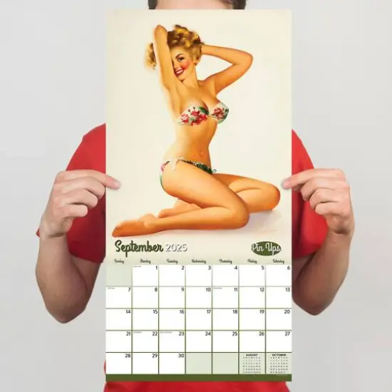 TF Publishing 2025 Pin Ups Wall Calendar {6}