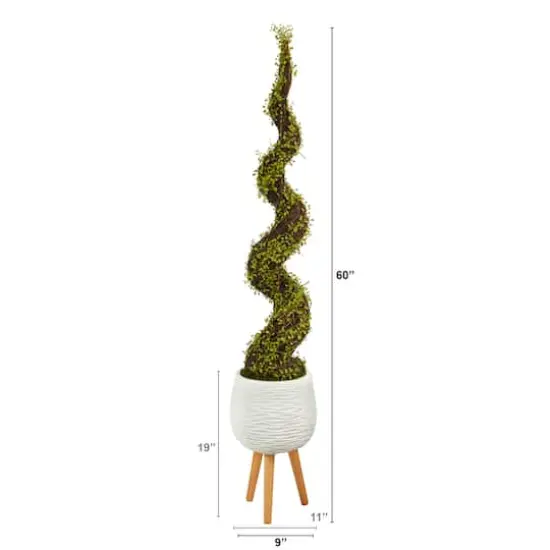 5ft. UV Resistant Mohlenbechia Spiral Tree in White Planter with Stand {3}