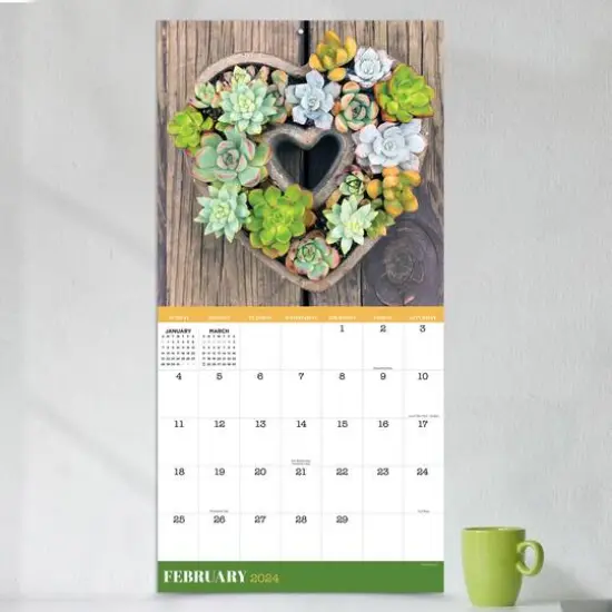 TF Publishing 2024 Succulents Wall Calendar {5}