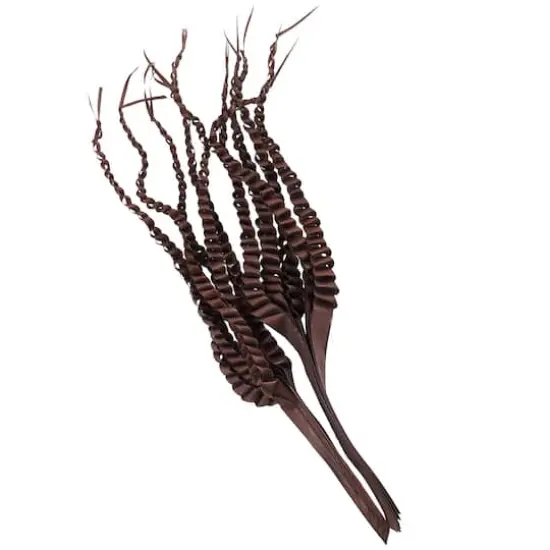 30" Dark Brown Dried Plant Palm Leaf Natural Foliage {3}