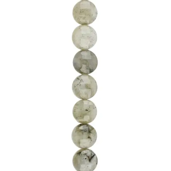 Gray Labradorite Faceted Coin Beads, 8mm by Bead Landing&trade; {1}