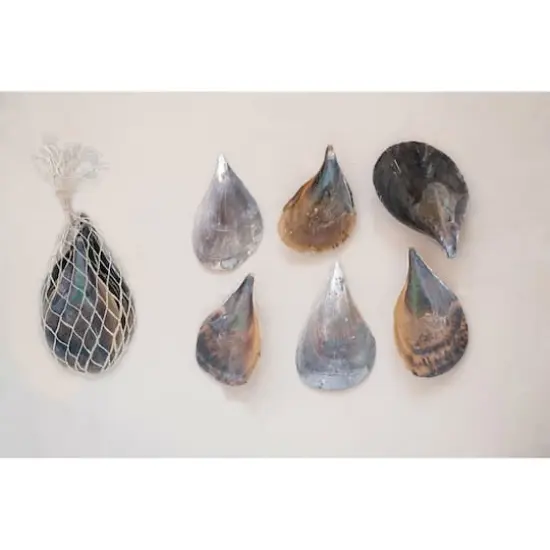 Hello Honey&reg; Pen Clam Shells in Bag {4}