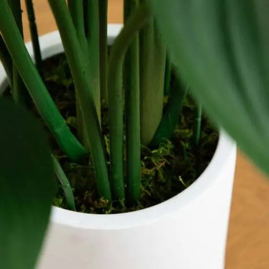 3.5ft. Sky Bird Tree in White Decorative Planter {6}