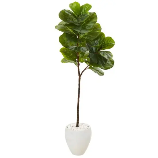 5ft. Fiddle Leaf Tree in White Planter {1}