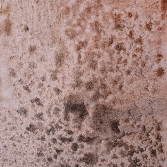 Tim Holtz&reg; Distress Mica Spray Set {3}