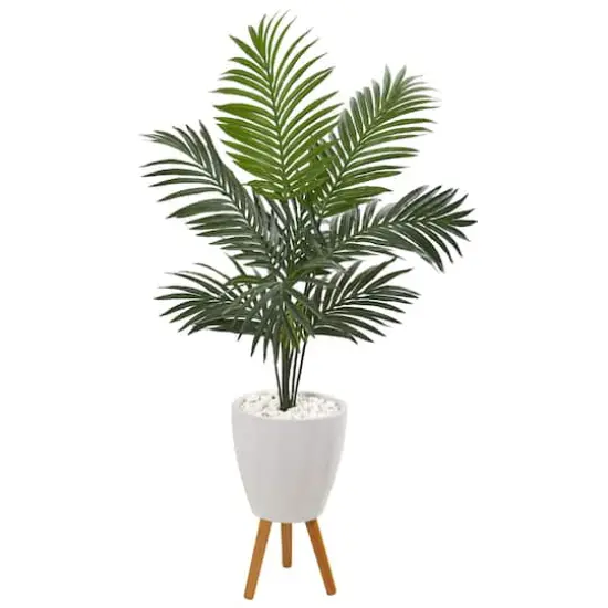 4.5ft. Kentia Palm Tree In White Planter With Legs {1}