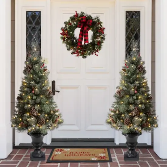 2 Pack 4ft. Pre-Lit Flocked Pinecone & Berry Fir Artificial Christmas Tree in Planter, Warm White Lights {3}