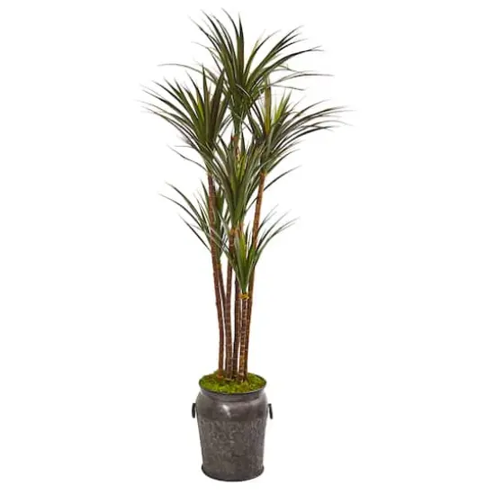 6ft. Yucca Tree in Decorative Planter {1}