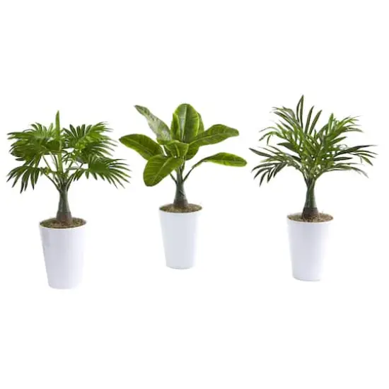 18" Assorted Mini Palm and Banana Plant in White Planter Set {1}