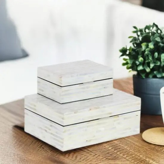 White Shell Coastal Box Set {9}