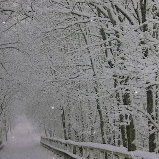 Winter Wooden Bridge Fiber Optic Lighted Canvas Wall Art {3}