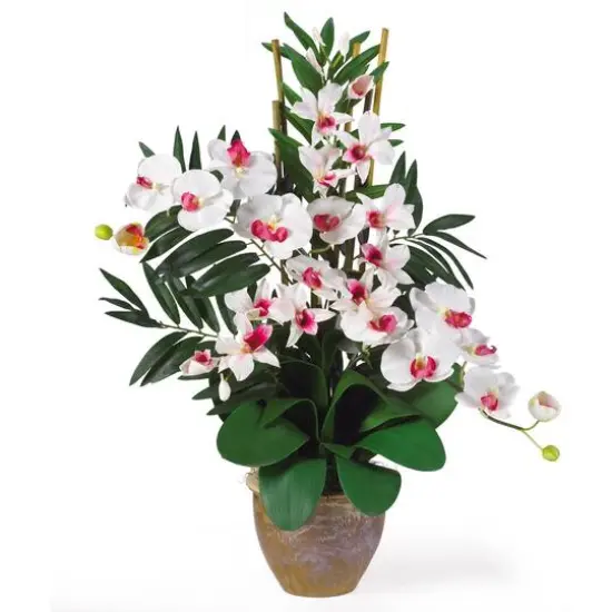 29" Double Phalaenopsis & Dendrobium Silk Orchid Arrangement White/Pink {1}