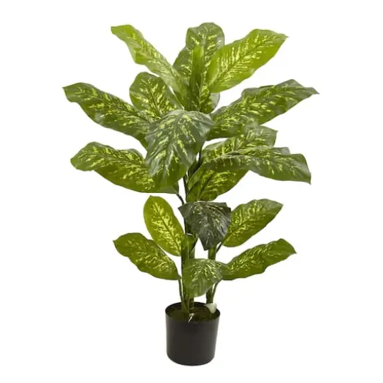 4ft. Potted Dumb Cane Real Touch Plant {1}