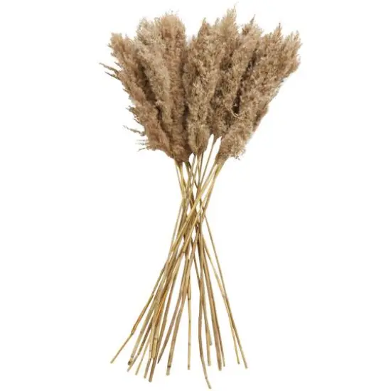 Dried Plant Pampas Natural Foliage with Long Stems Brown {7}