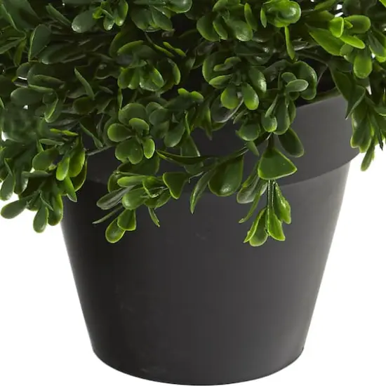 10&rdquo; Potted Boxwood Topiary Plant {5}
