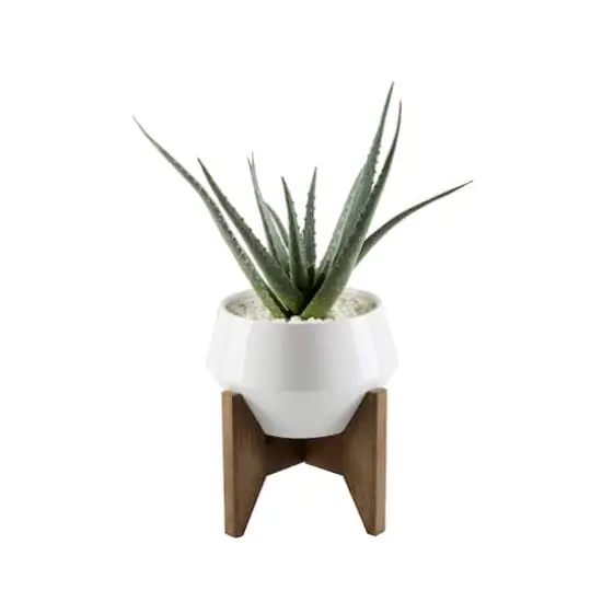 Flora Bunda&reg; 20" Aloe In 8.5" Geo Ceramic Pot On Wood Stand {1}
