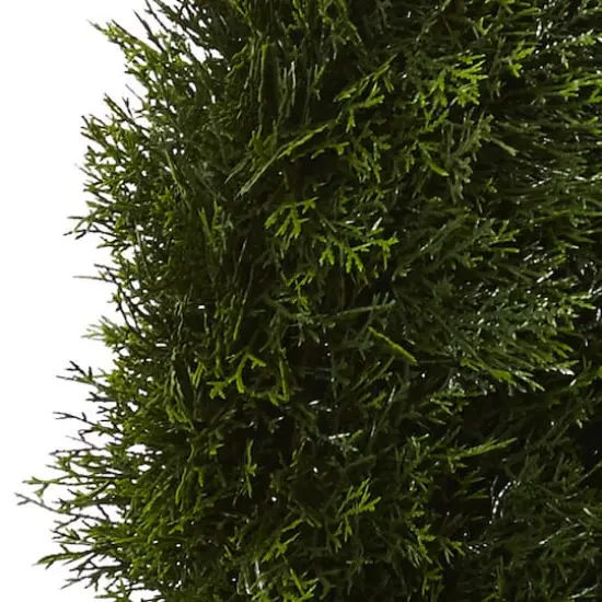 5ft. Potted Double Pond Cypress Spiral Topiary Tree {4}