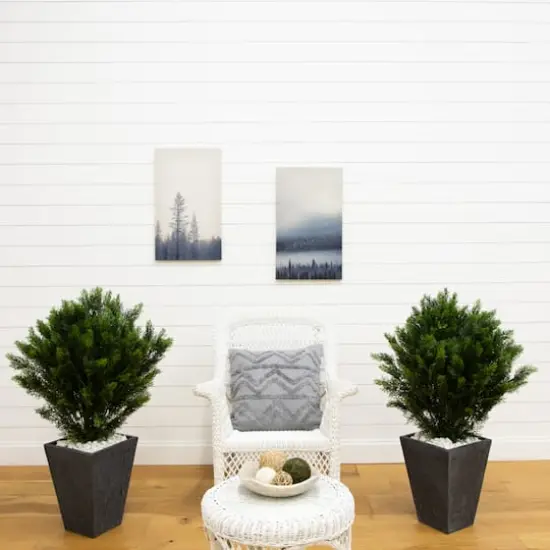 3ft. Potted UV Resistant Cedar Trees, 2ct. {3}
