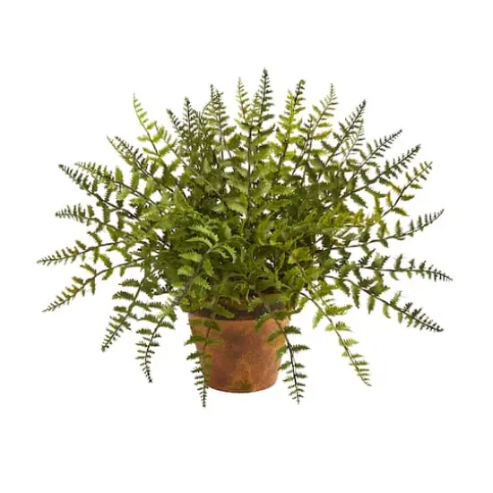 12" Leatherleaf Fern in Decorative Planter {1}