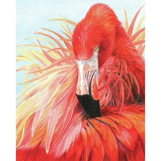 Royal & Langnickel® Flamingo Colour Pencil™ by Number Kit {3}