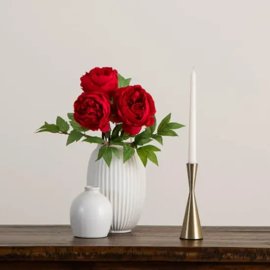 20" Red Peony Flower Stems, 3ct. {3}