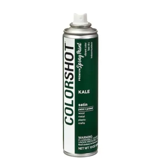 COLORSHOT&reg; Premium Satin Spray Paint Kale {8}
