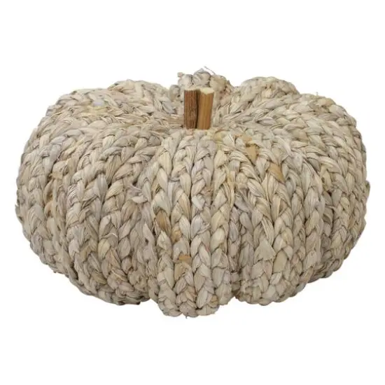 9.5" Beige Weaved Autumn Harvest Tabletop Pumpkin {5}
