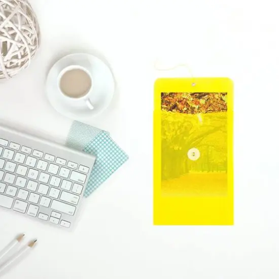 JAM Paper 6.25" x 9.25" Button & String Tie Closure Plastic Envelopes, 12ct. Yellow {7}